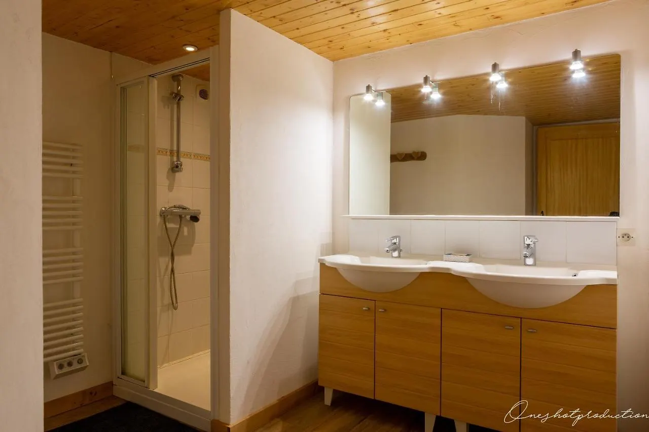 Chalet Boost Your Immo Les Deux Alpes 527